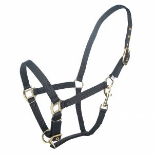 MEMORIAL DAY BOGO: Tabelo Arab Nylon Halter with Snap - YOUR PRICE FOR 2