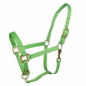 Tabelo Nylon Halter with Snap & Adj Chin - Lime - XL-Horse