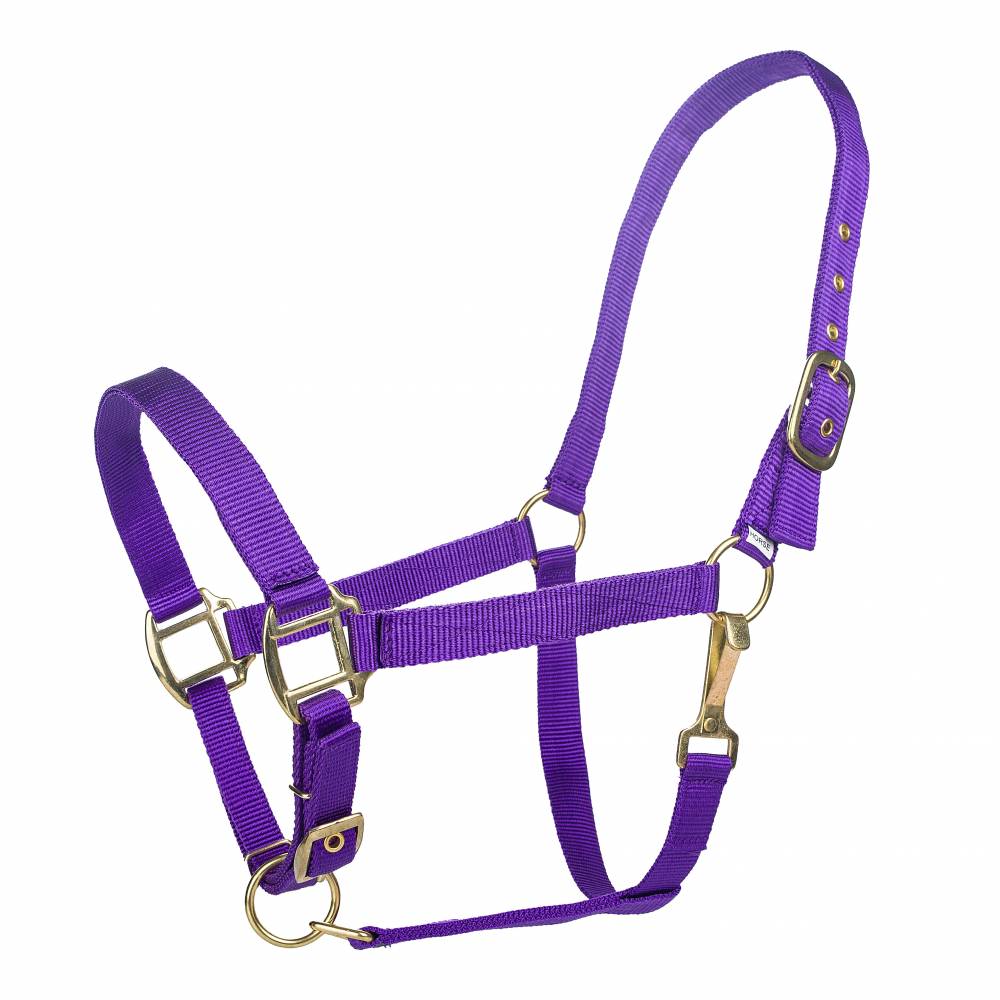 4-H Classic Adjustable Nylon Halter w/Snap 