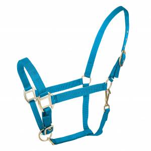 Tabelo Nylon Halter with Snap & Adj Chin - Turquoise - Horse