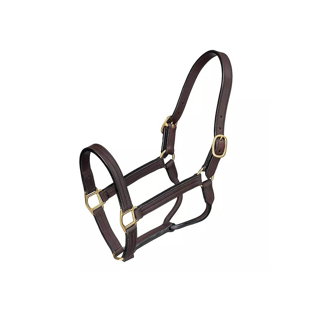 Royal King Premium Leather Halter with Snap