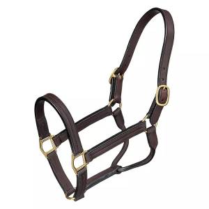 Royal King Premium Leather Halter with Snap