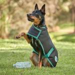 Weatherbeeta Green-Tec 900D Lite Plus Dog Coat