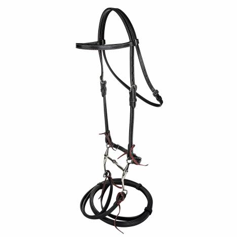 MEMORIAL DAY BOGO: TABELO Browband Bridle with Bit - YOUR PRICE FOR 2