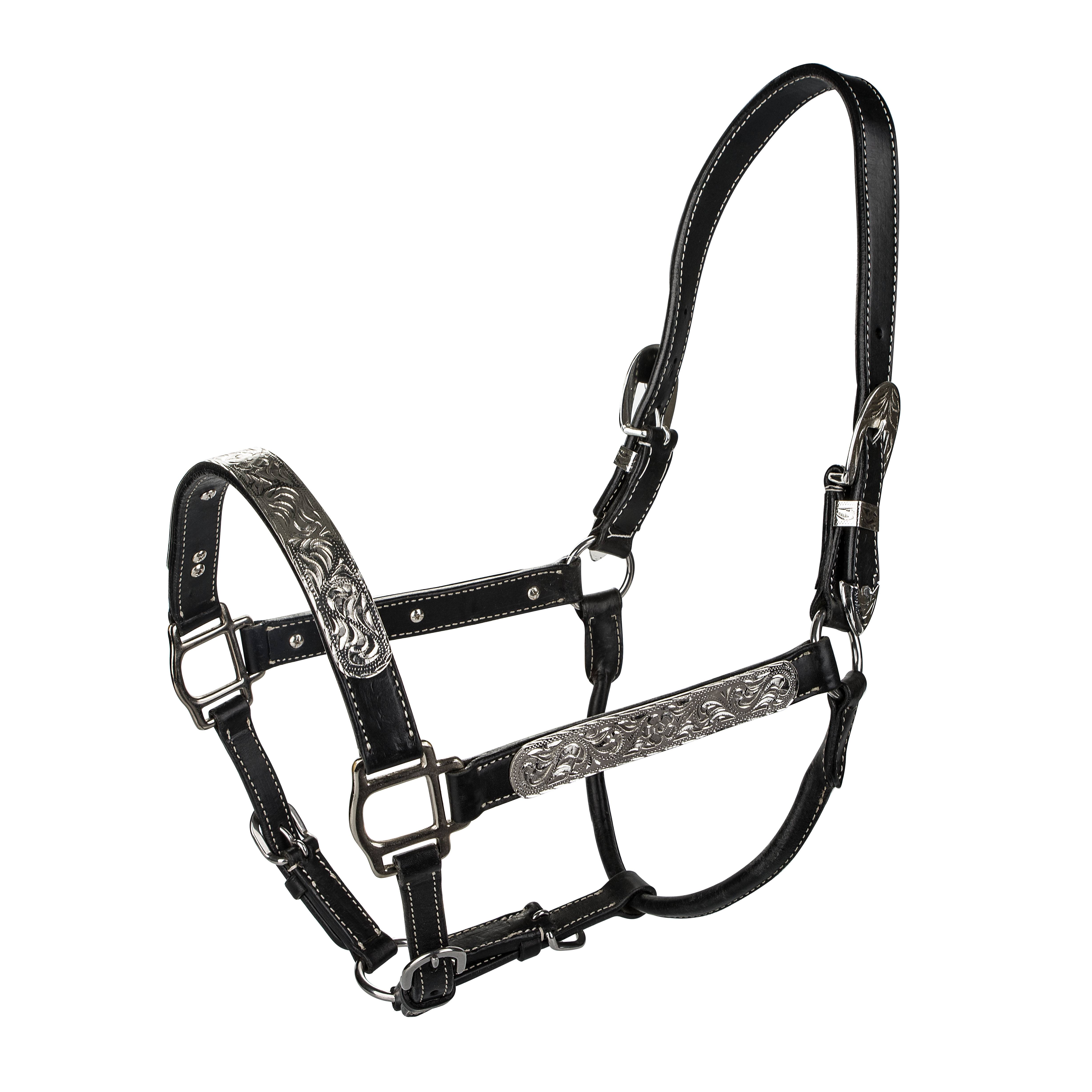 LHTR133-BLACK-HORSE TABELO Leather Halter with Silver sku LHTR133-BLACK-HORSE