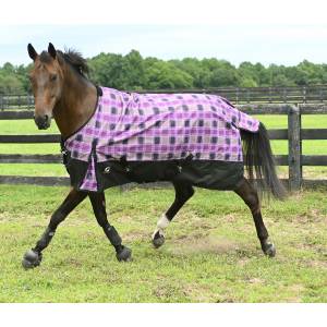 MEMORIAL DAY BOGO: Gatsby Aspen 1200D Waterproof Turnout Sheet - YOUR PRICE FOR 2