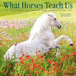 Kelley What Horses Teach Us 2023 Calendar