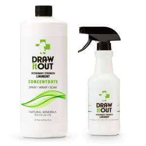 Spray Liniment by Draw It Out