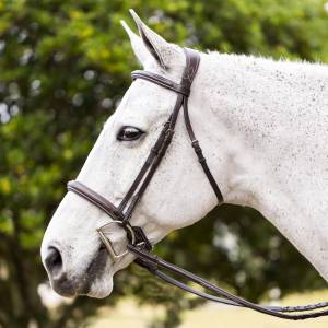 Equinavia Valkyrie Fancy Stitched Hunter Bridle & Reins