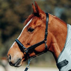 Horze Leather Halter with Crystals