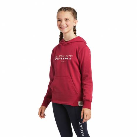 Ariat Kids 3D Logo 2.0 Hoodie