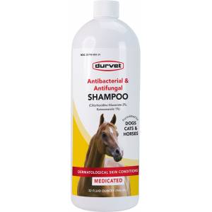 Durvet Antibacterial & Antifungal Equine Shampoo - 32 oz