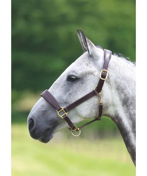 Shires Blenheim Leather Travel Headcollar