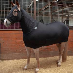 Classic Equine Full-Body Slinky