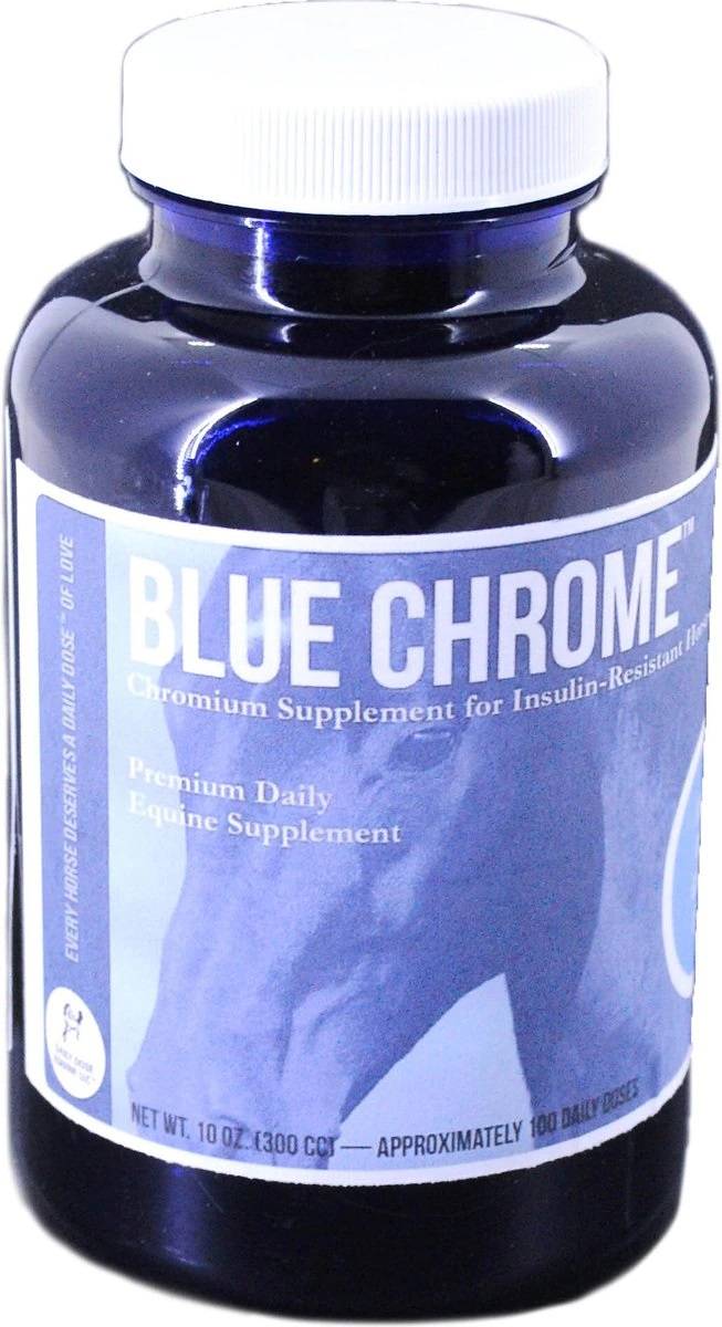 Daily Dose Equine Blue Chrome