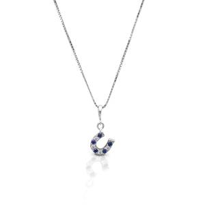 Kelly Herd Blue & Clear Dangle Horseshoe Necklace
