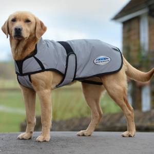 Weatherbeeta ComFitec Reflective Dog Coat Medium