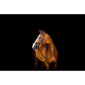 Horseware Micklem Deluxe Competition Bridle with Reins