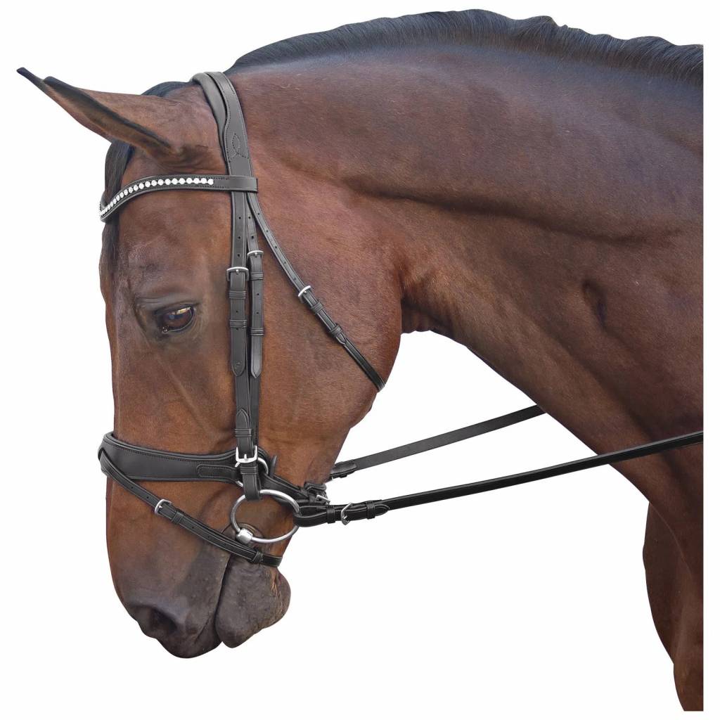 M. Toulouse Comfort Cavesson Dressage Bridle