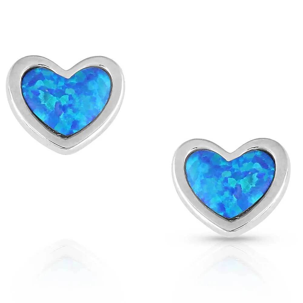 Montana Silversmiths Hidden Lake Glacial Pools Earrings