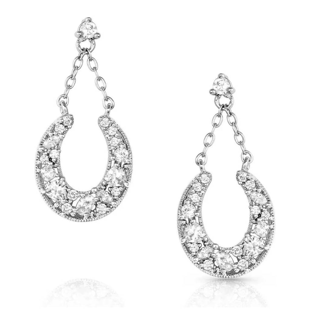 Montana Silversmiths Intentional Luck Crystal Drop Earrings