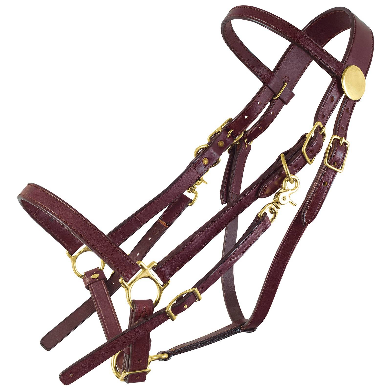 Tucker Standard Halter Bridle