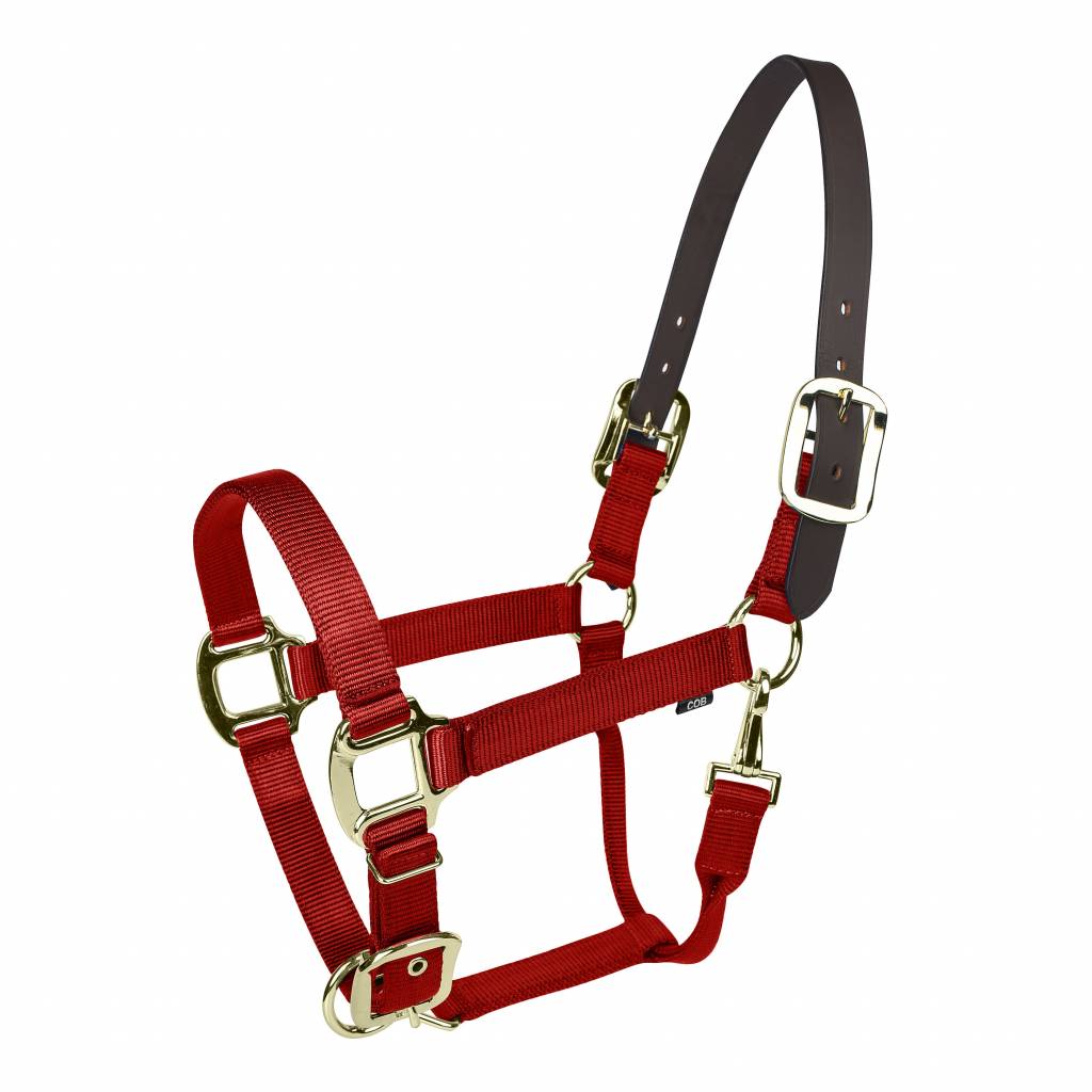 Gatsby Gold Nylon Breakaway Halter with Snap