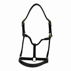 Huntly Equestrian Fancy Stitched Traditional Halter