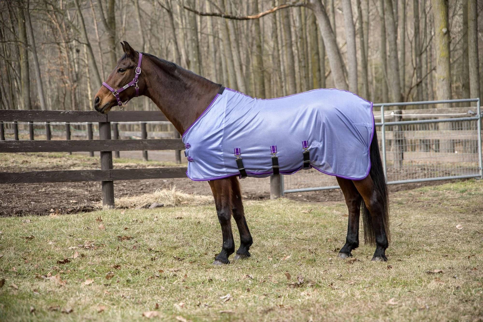 TuffRider Comfy Plus Standard Neck Fly Sheet