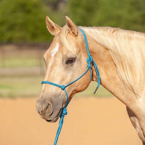 Classic Equine Econo Rope Halter and 8-foot Leadrope
