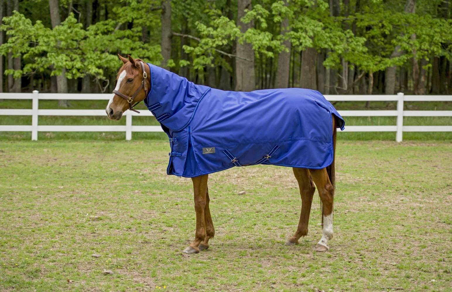 TuffRider 1680D Super Comfy Detachable Neck Turnout Blanket 350gm