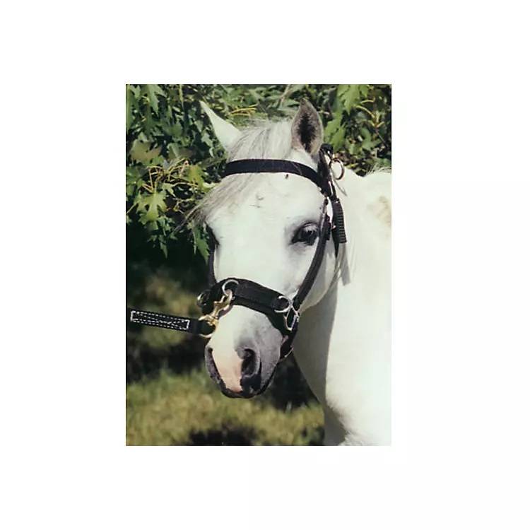 Ozark Mini Lunging/Driving Caveson