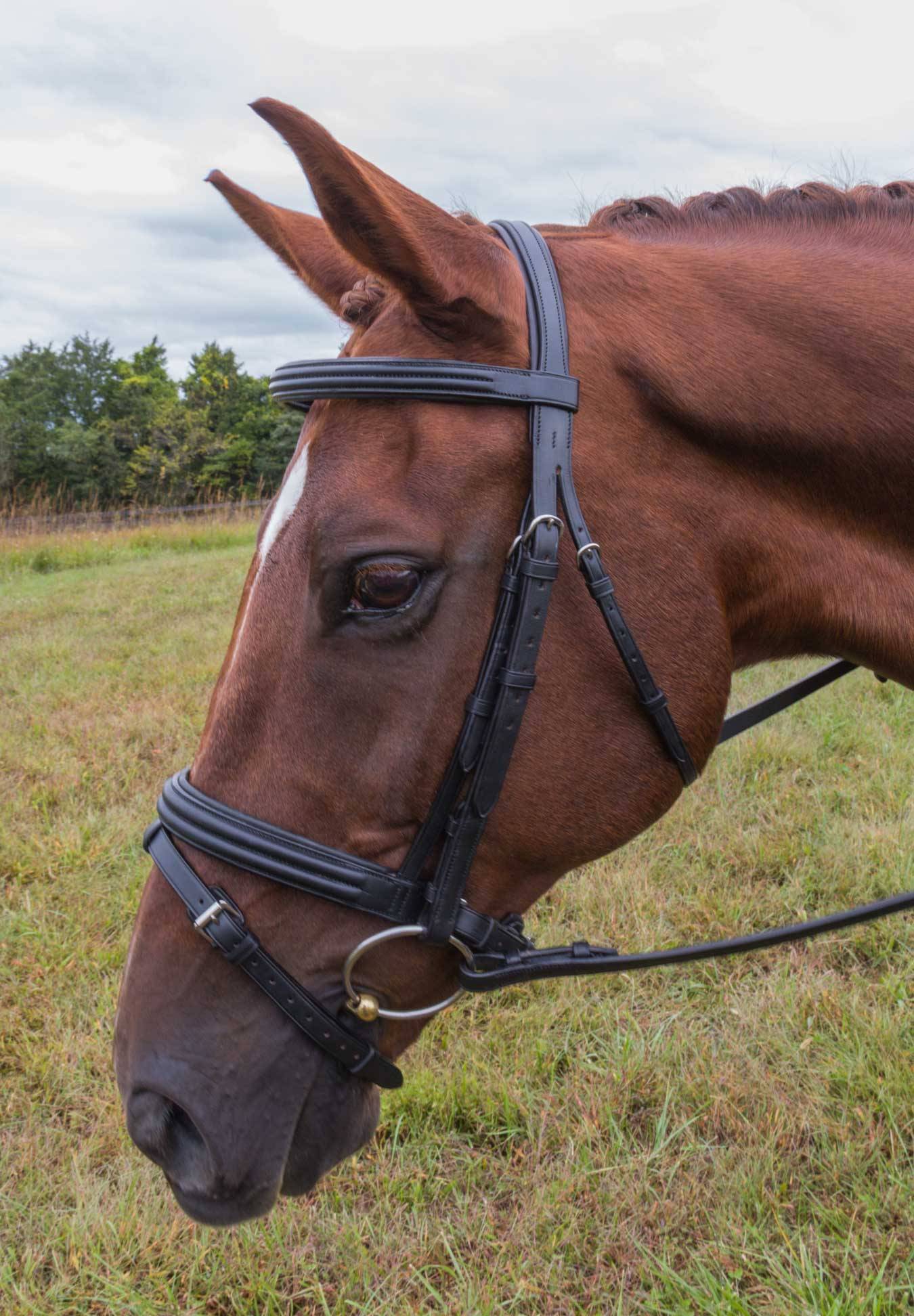 Vespucci Double Raised Snaffle Bridle