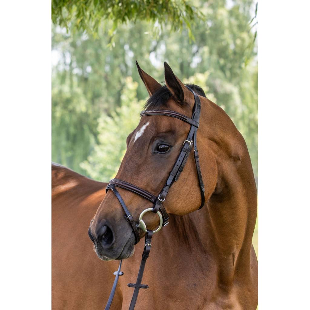 Vespucci Fancy Raised Jump Bridle