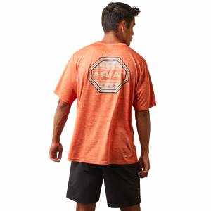 Ariat Mens Charger Ariat Stamp T-Shirt