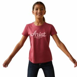 Ariat Kids Durable Goods Tee Shirt