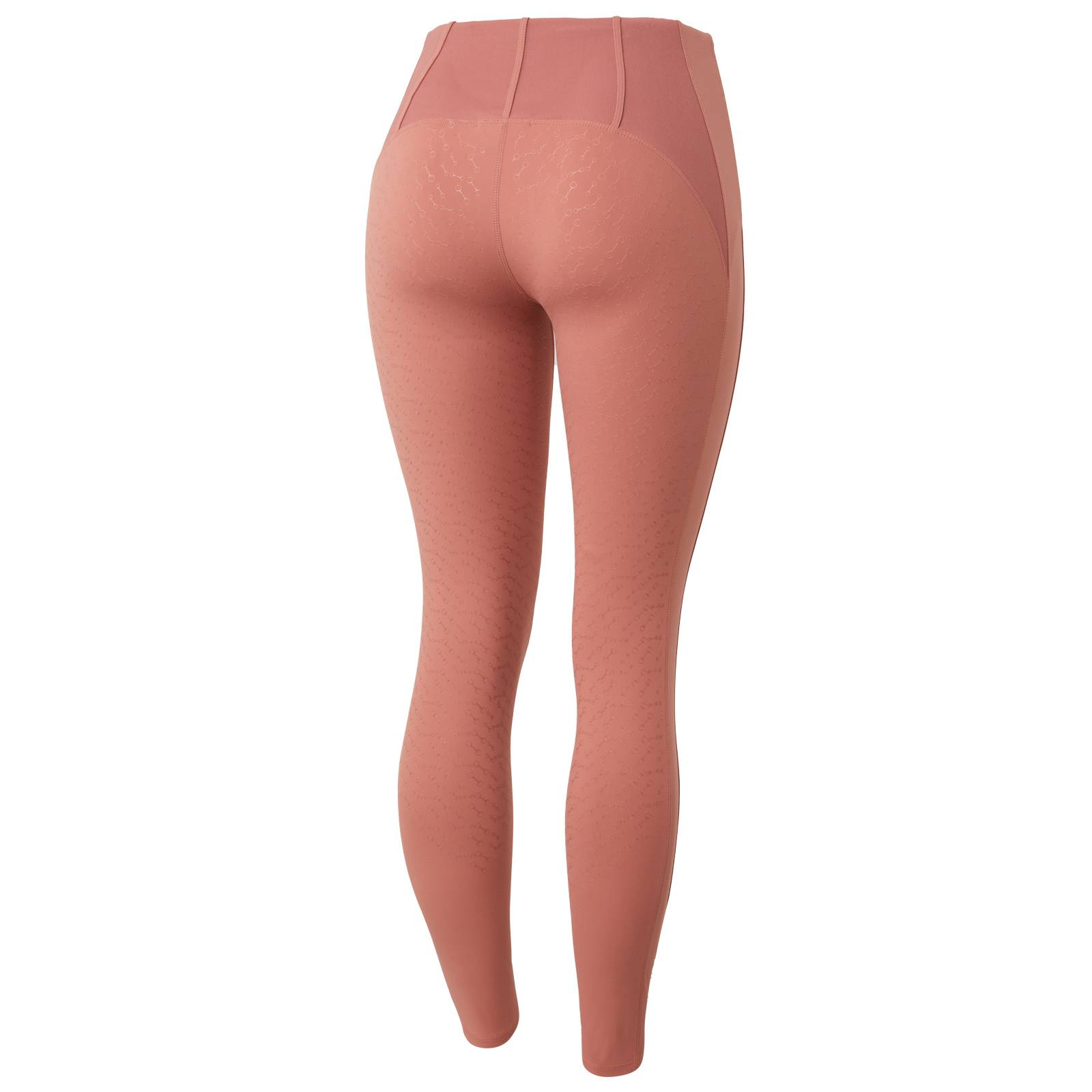 Horze Ladies Ciandra UV Pro Full Seat Tights