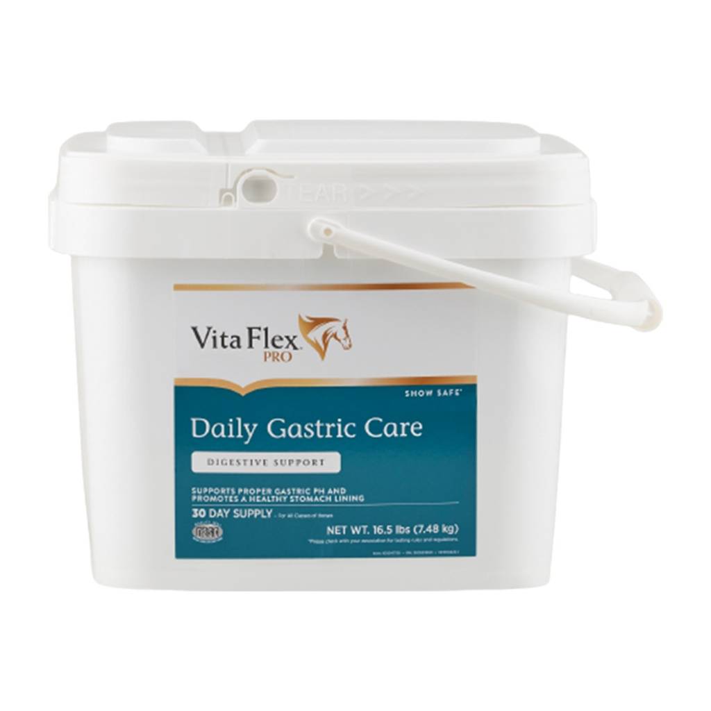 Vita Flex Pro Daily Gastric Care