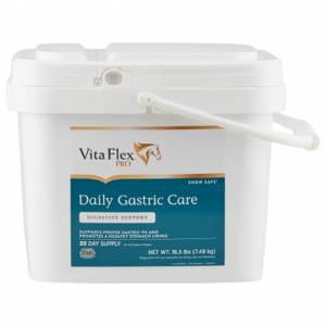 Vita Flex Pro Daily Gastric Care