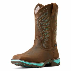 Ariat Ladies Anthem Waterproof Western Boots