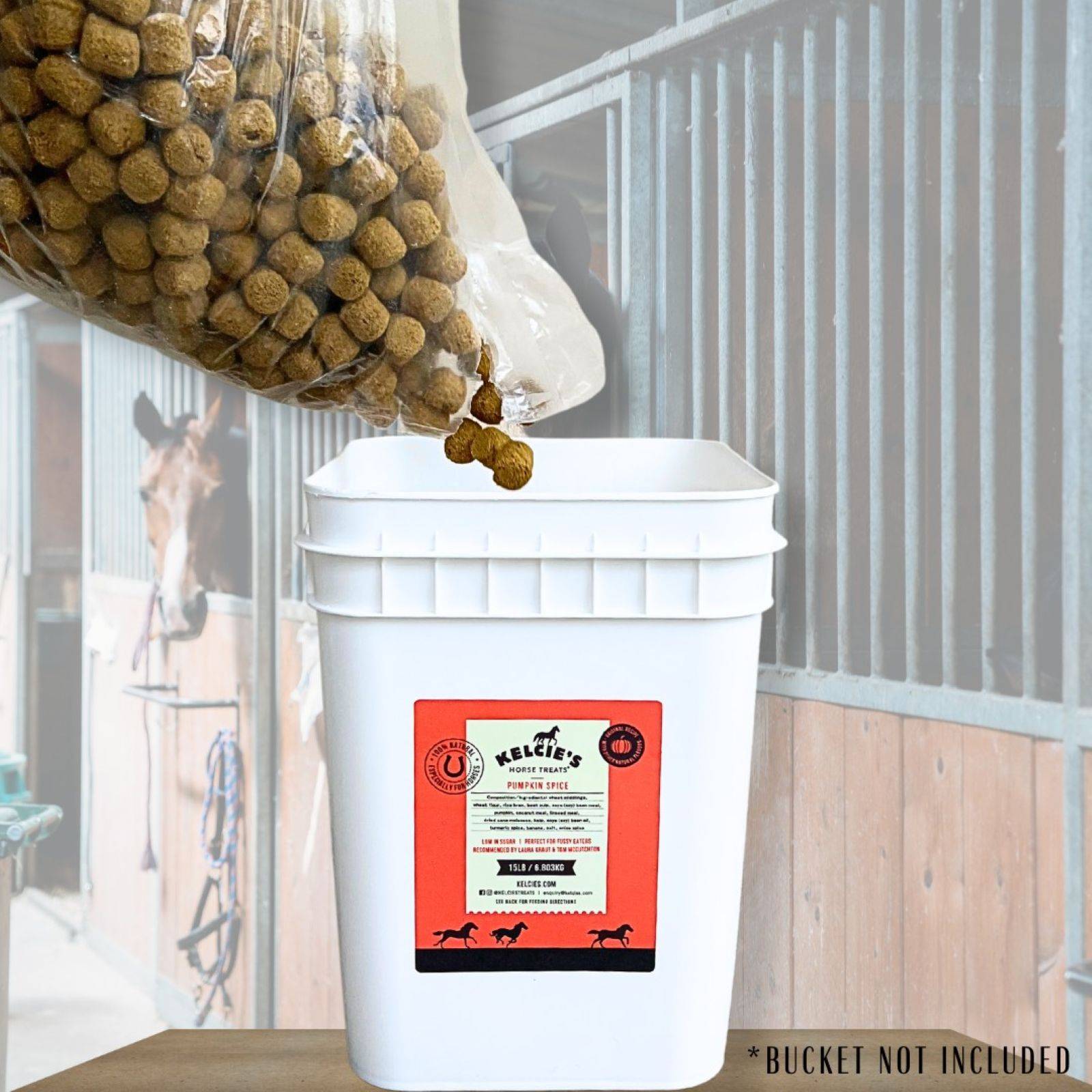 Kelcie's Pumpkin Spice Horse Treats