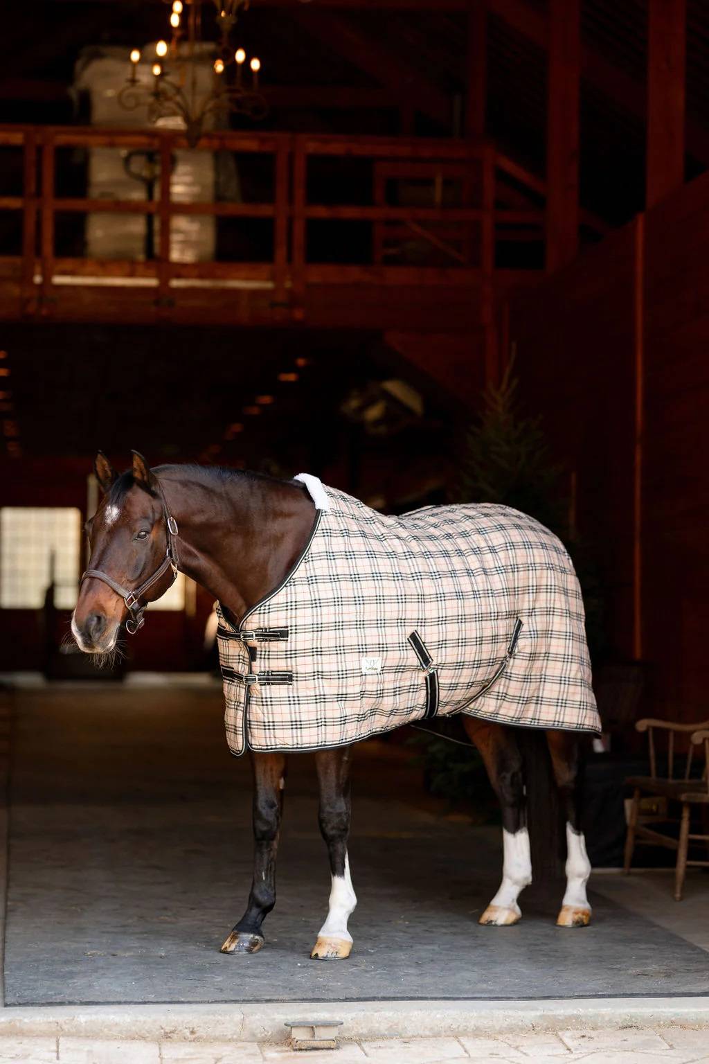 TuffRider Comfy 1200D Standard Neck Stable Blanket 200g