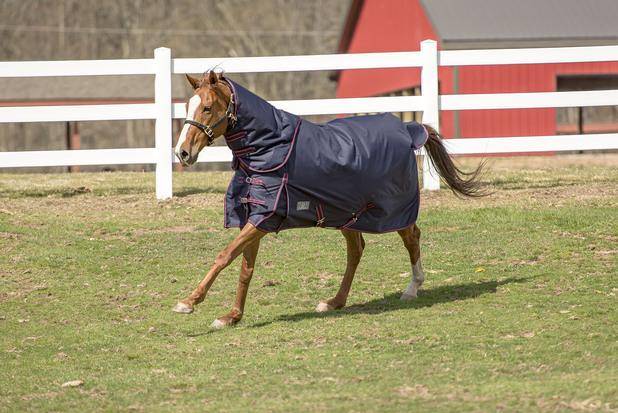 TuffRider Comfy Heavy Weight Detachable Neck Blanket 350 GMS