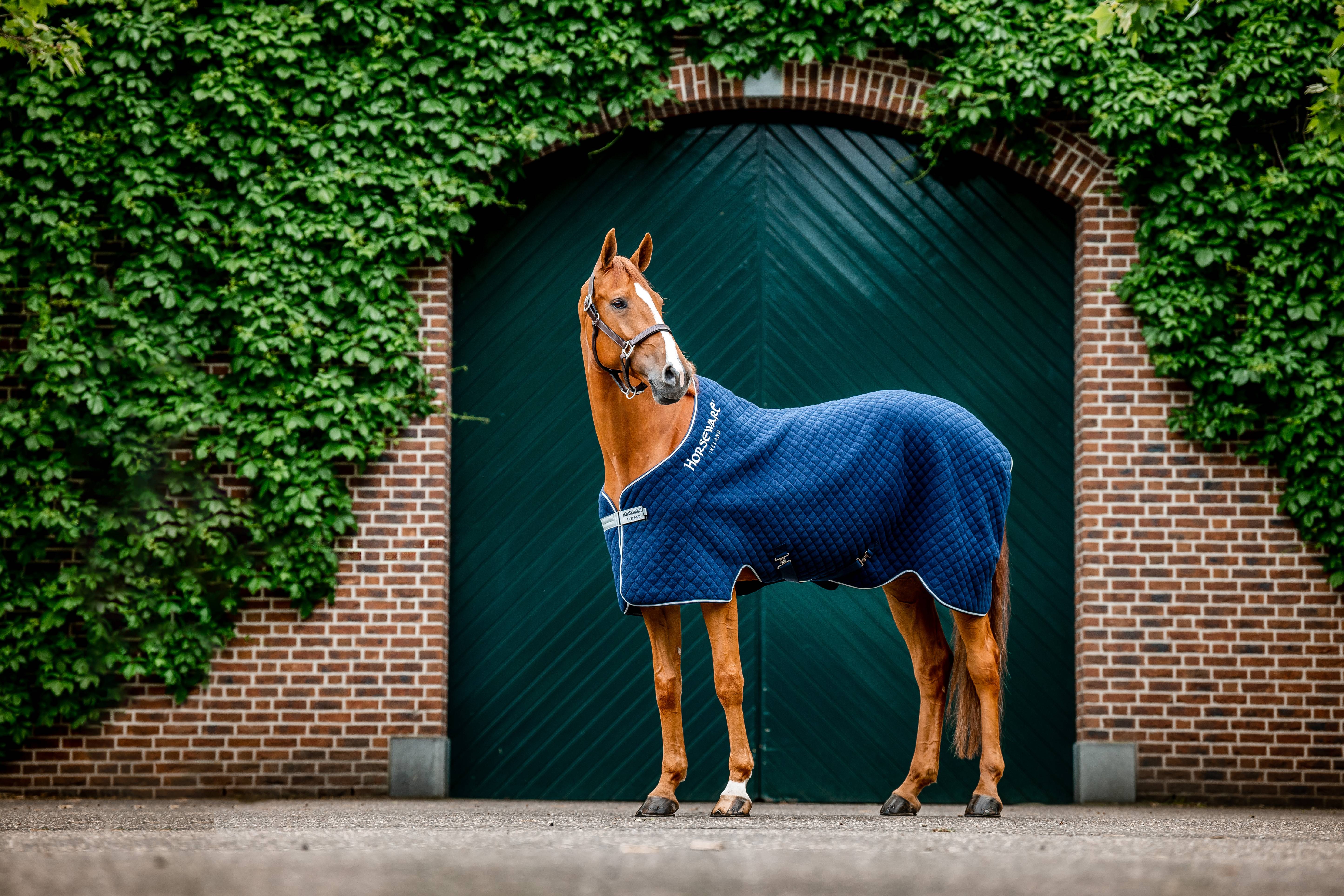 Horseware Thermal Cooler