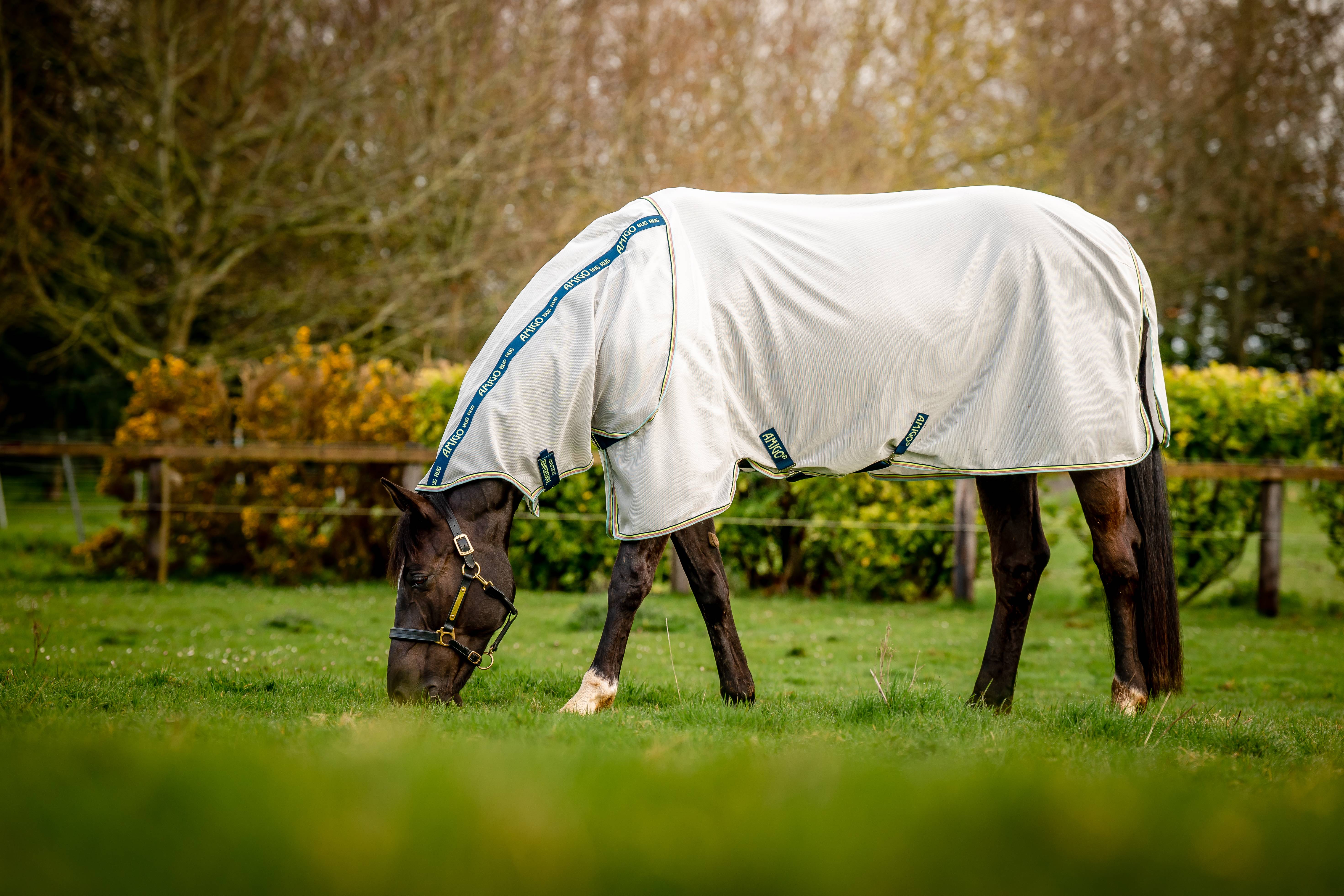 Amigo Bug Rug Fly Sheet (0g Light)