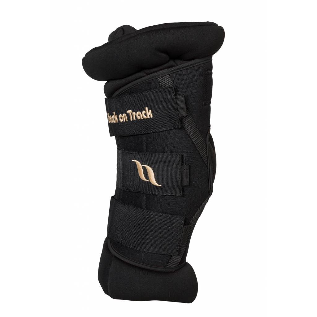 Back on Track Royal Padded Hock Boots Deluxe with Holes