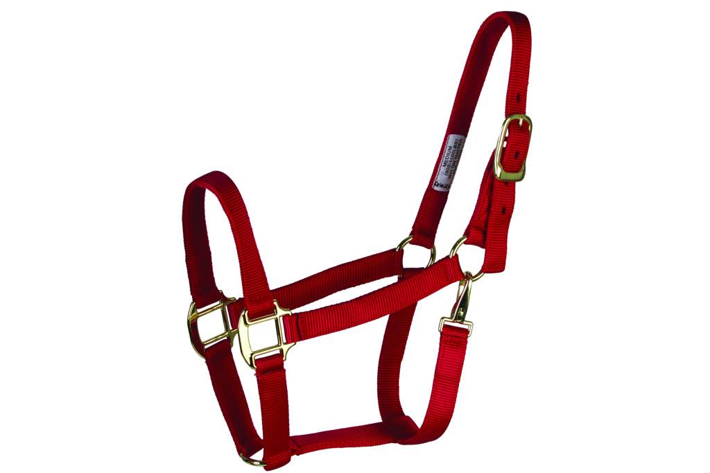 Deluxe 3-Ply Nylon Halter with Snap