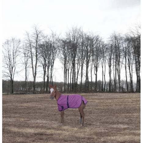 TuffRider 1200D Ripstop Foal Adjustable Turnout Blanket