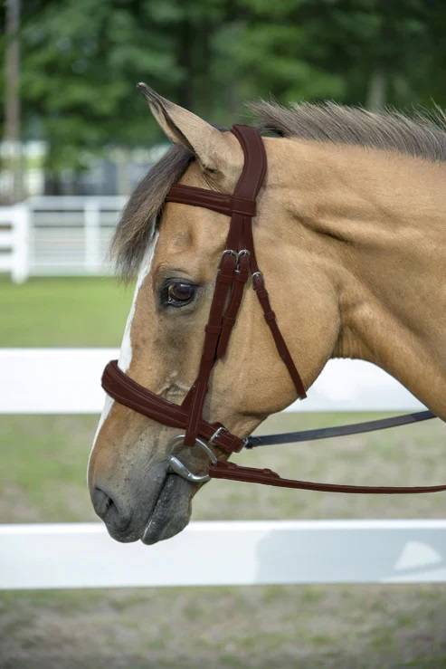 Henri de Rivel Pro Mono-Crown Padded Wide Noseband Bridle