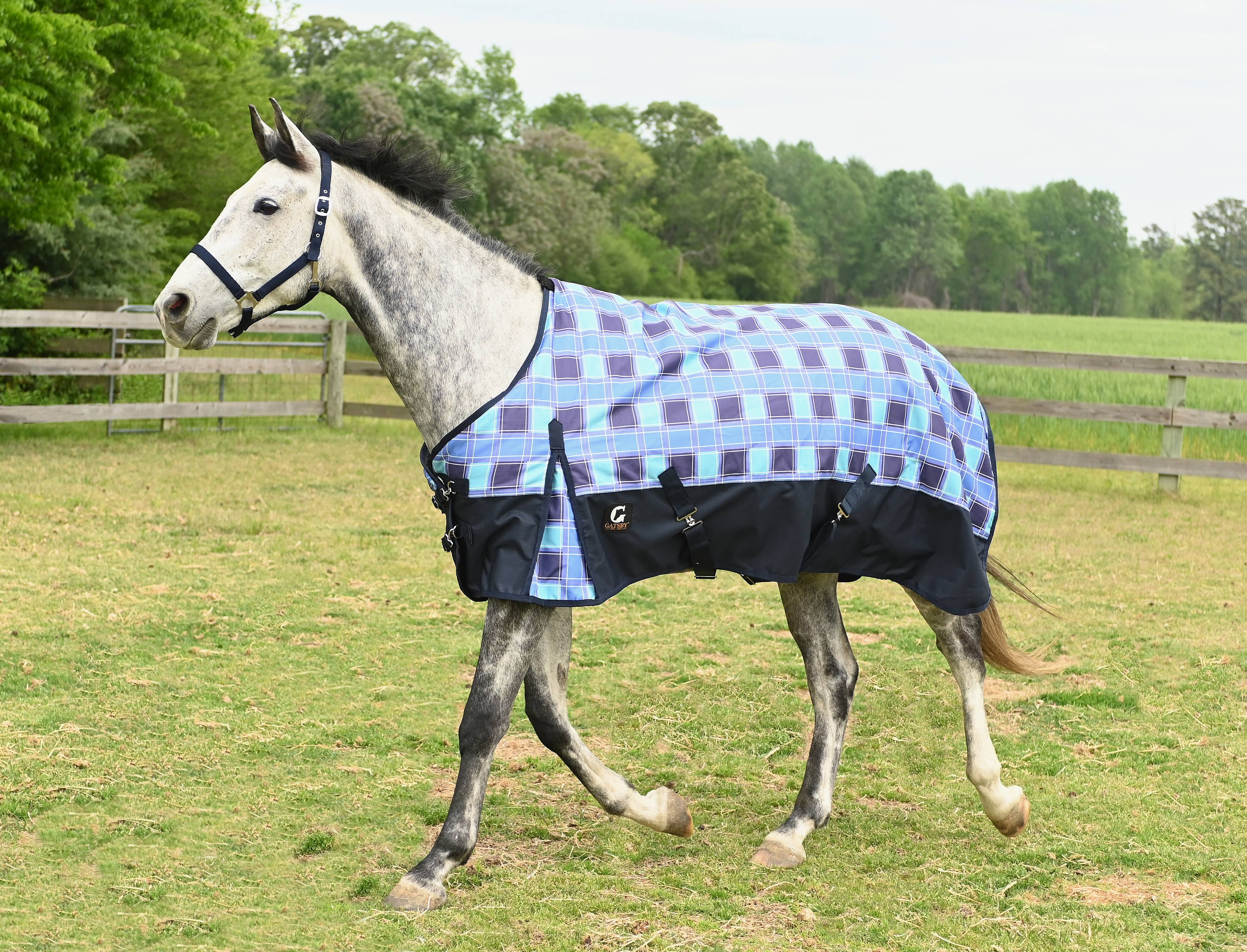 Gatsby Aspen 1200D MW 250gm Waterproof Turnout Blanket